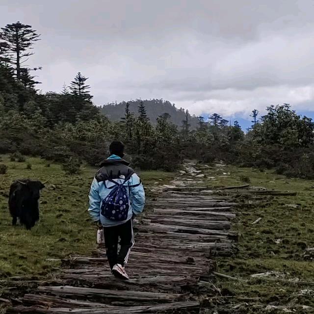 🎵随薪随元🌎