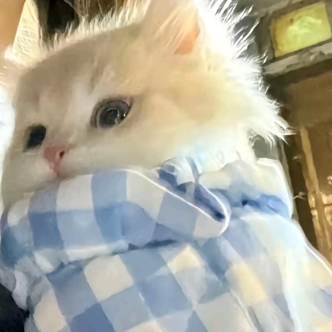懒得讲