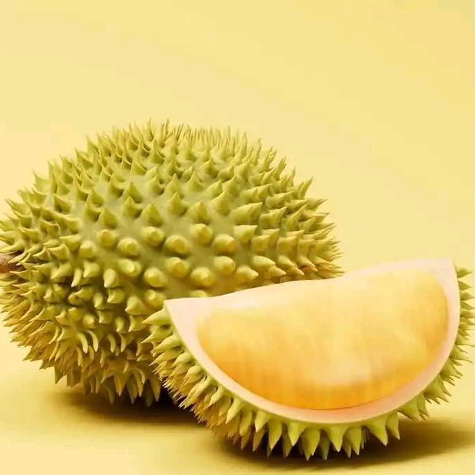 榴莲派正选