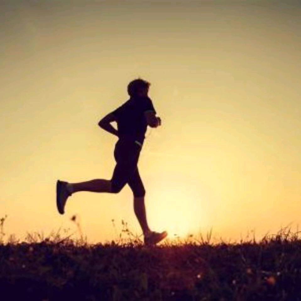 法律英语朱老师