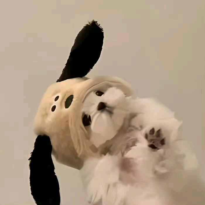 秋秋优选