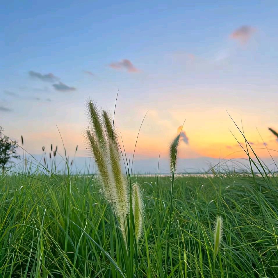 生活日常分享号