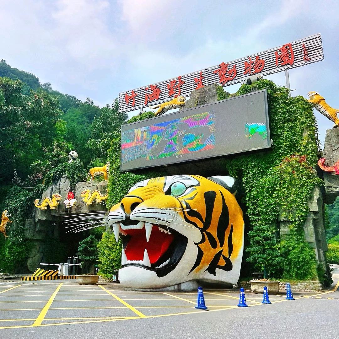 欢乐旅行-鑫
