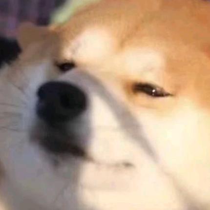 狗剩