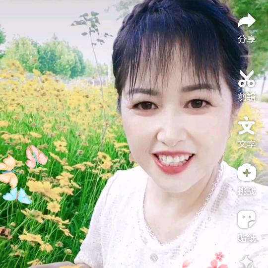 早晨的风