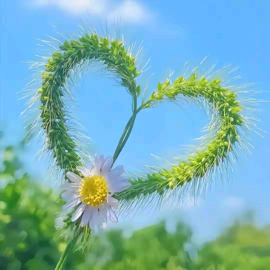 我想静静