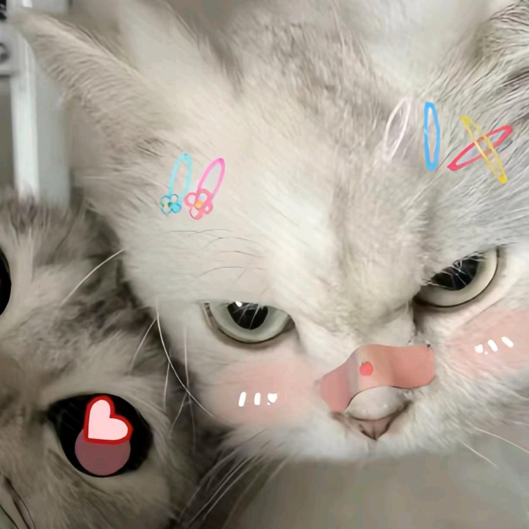 小彩（彩彩kayn）