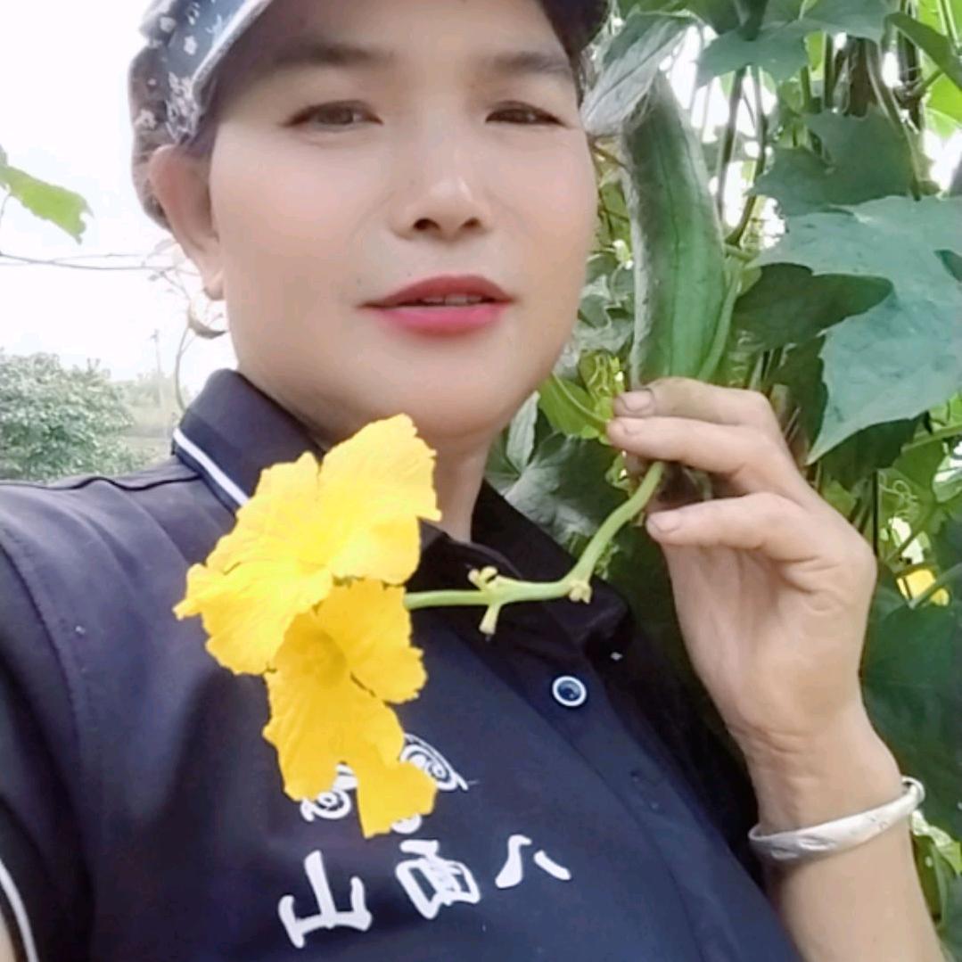 我是贾大姐
