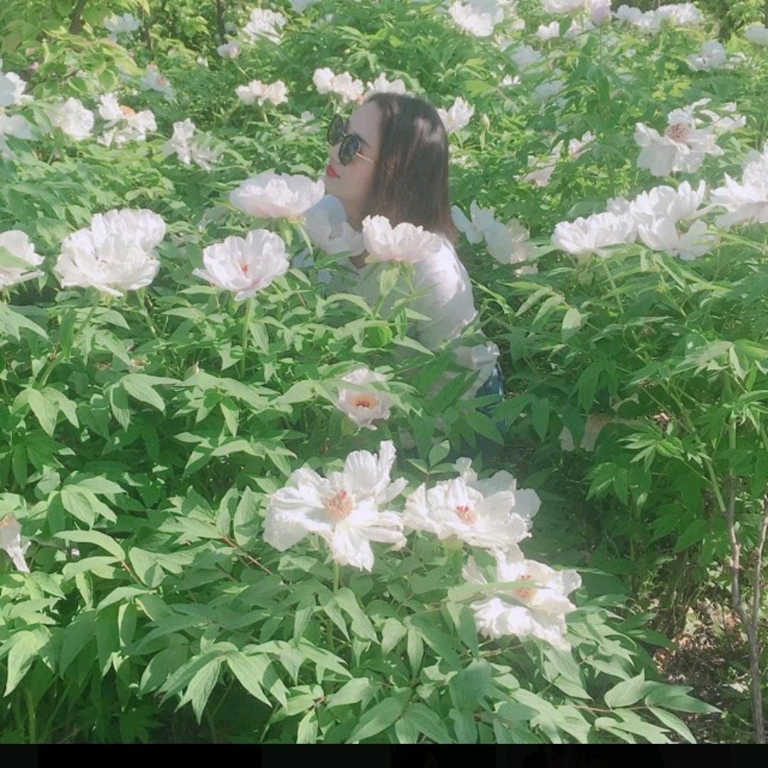 岳彩红