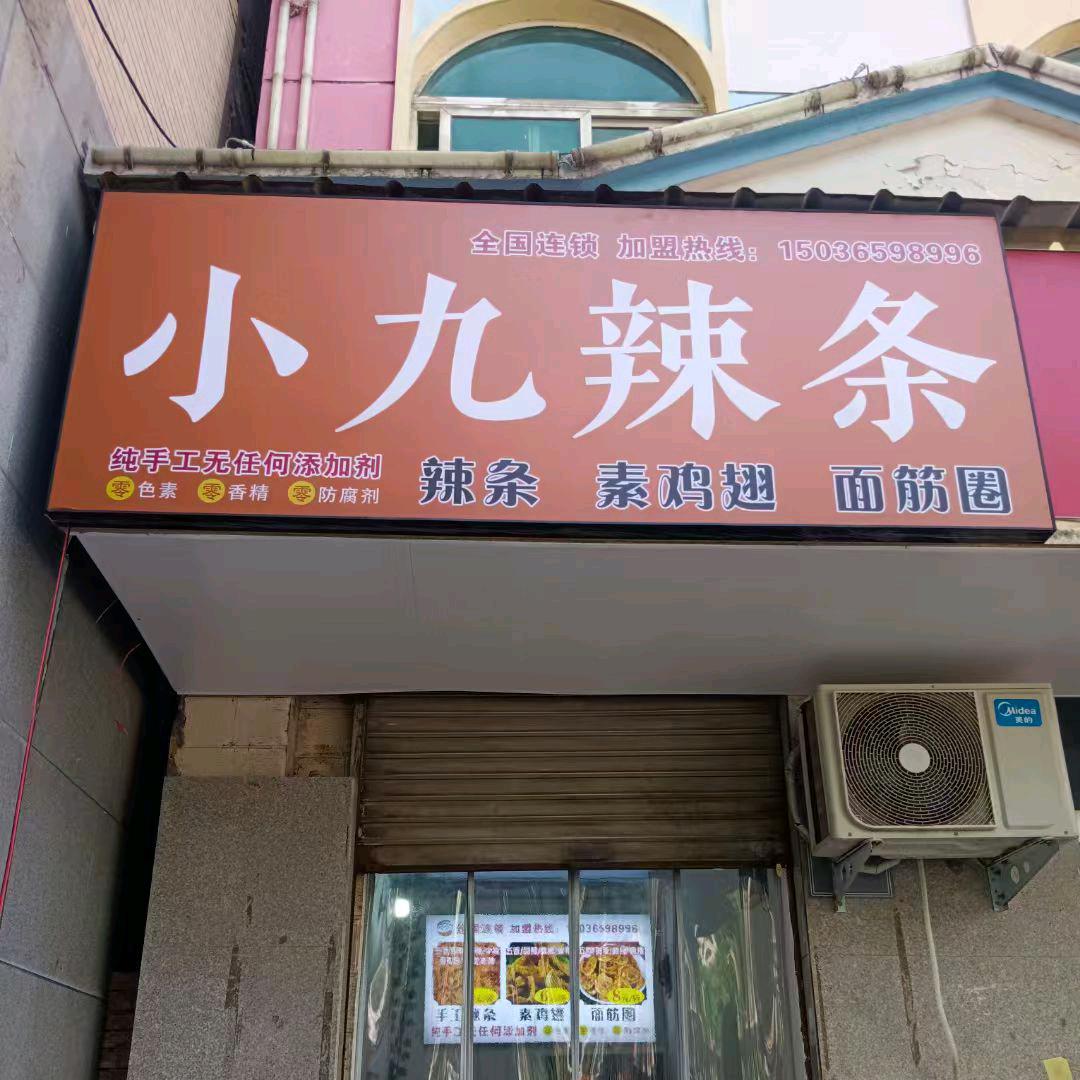 宜阳条条乐小九辣条