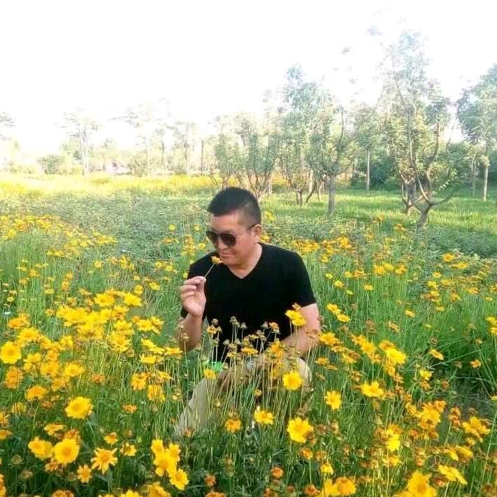 塞外65情
