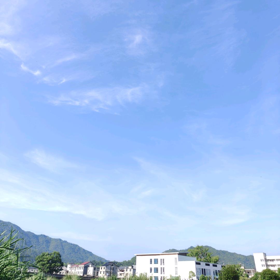 ₍˄·͈༝·͈˄*₎◞ ̑̑