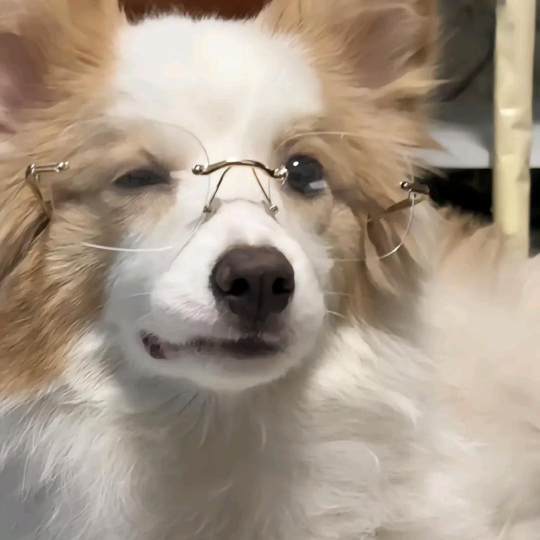 天在佑我昕