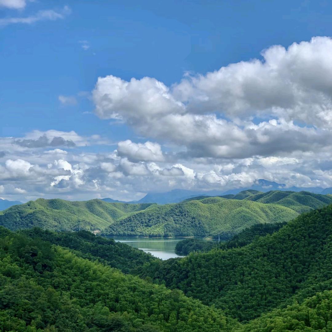 🌹平安囍樂🌹