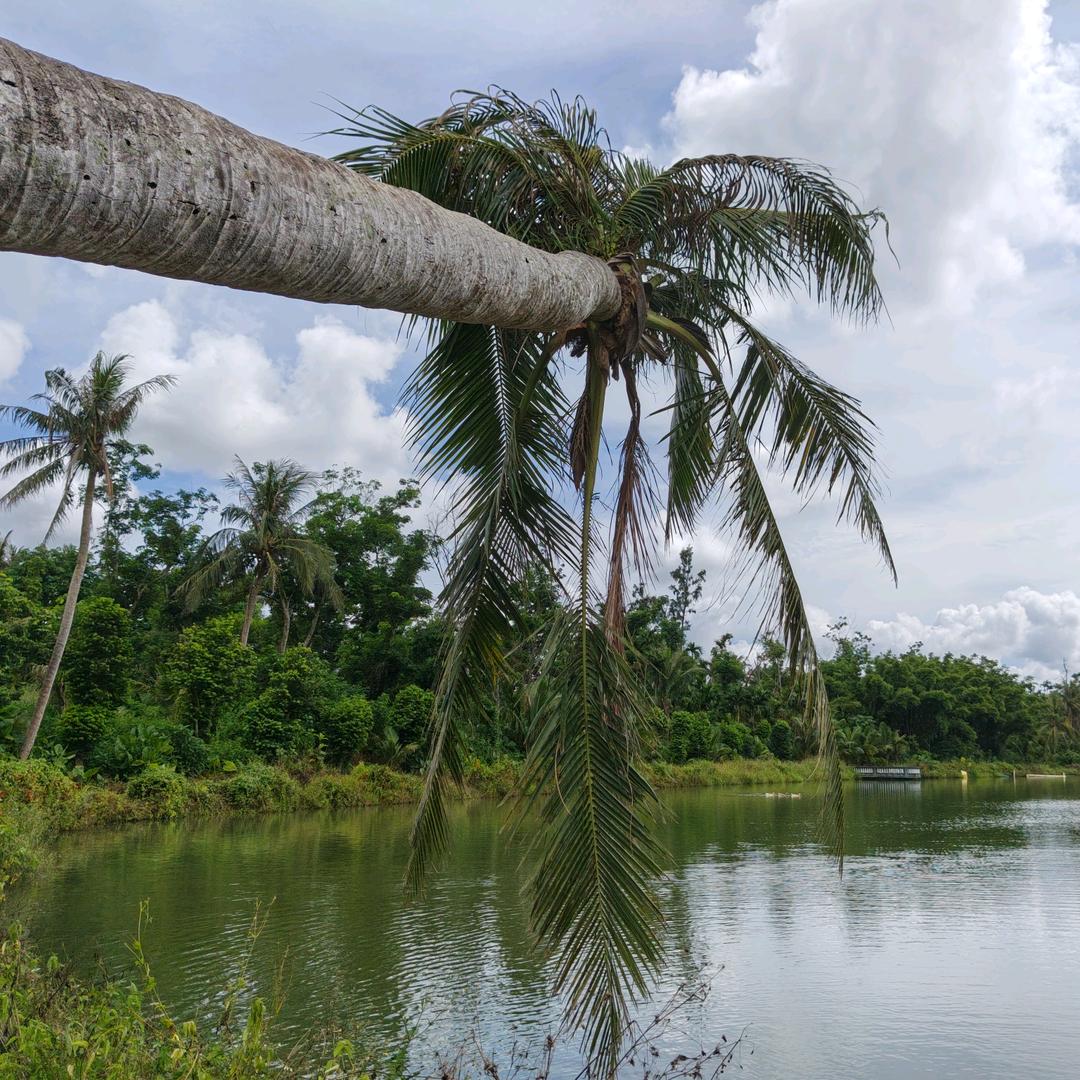 单身的外卖小哥老蒙__