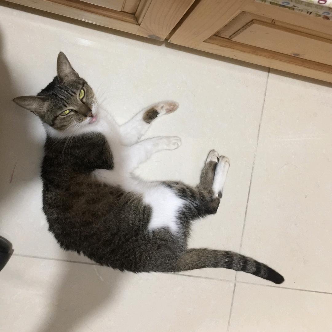 銘胜