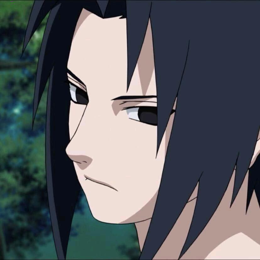 扬帆（三角洲行动）