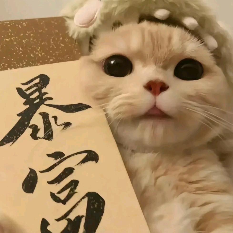 张张啊