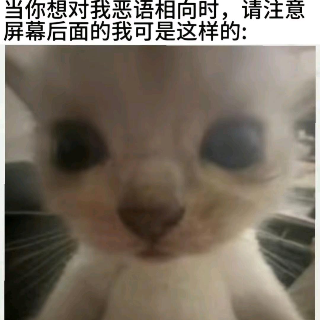 别丢弃风度