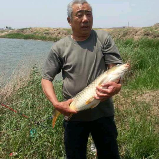 文哥