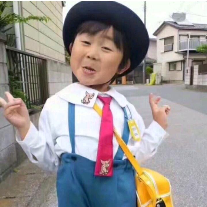 皮毛宝
