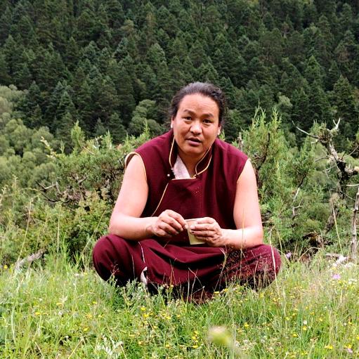 ༄ོ༊࿆指向阳光ꦿ໌້࿐