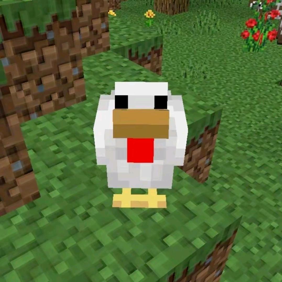 今晚一定不熬夜