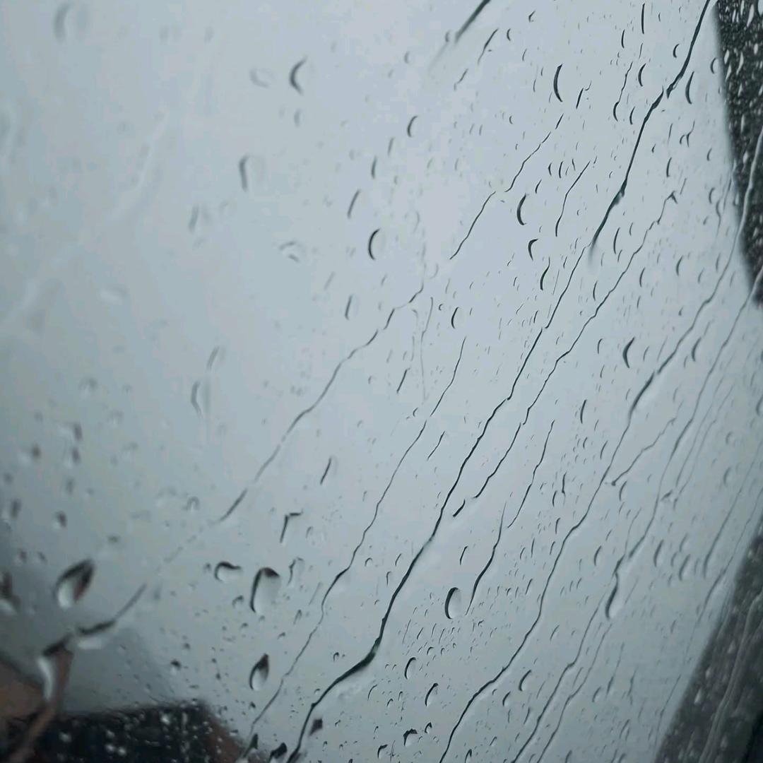 相逢即是别离