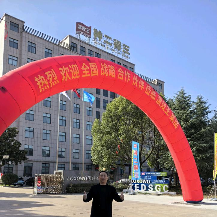 漯效王（种二得三）农资厂家 肥料厂家