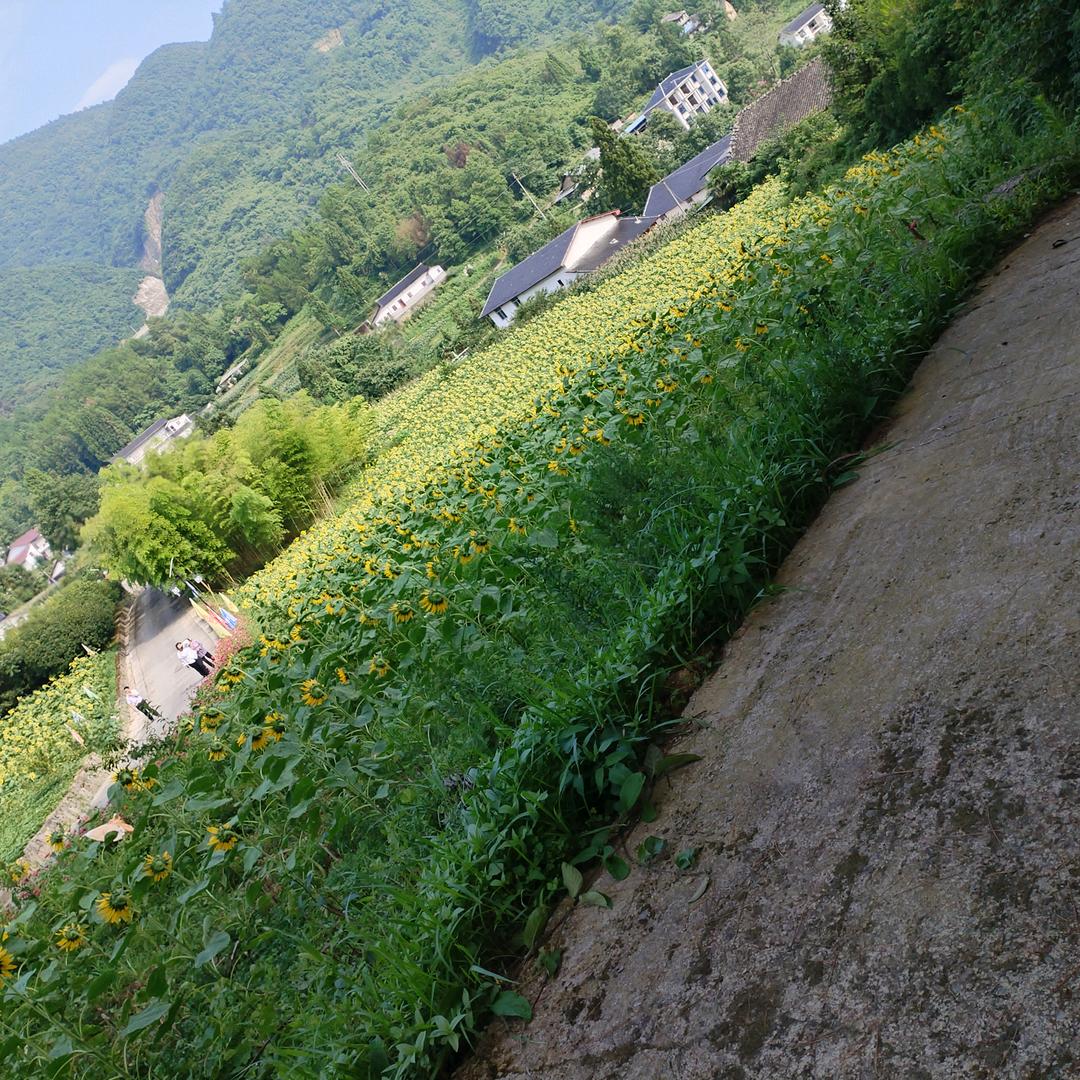 粮油加工房
