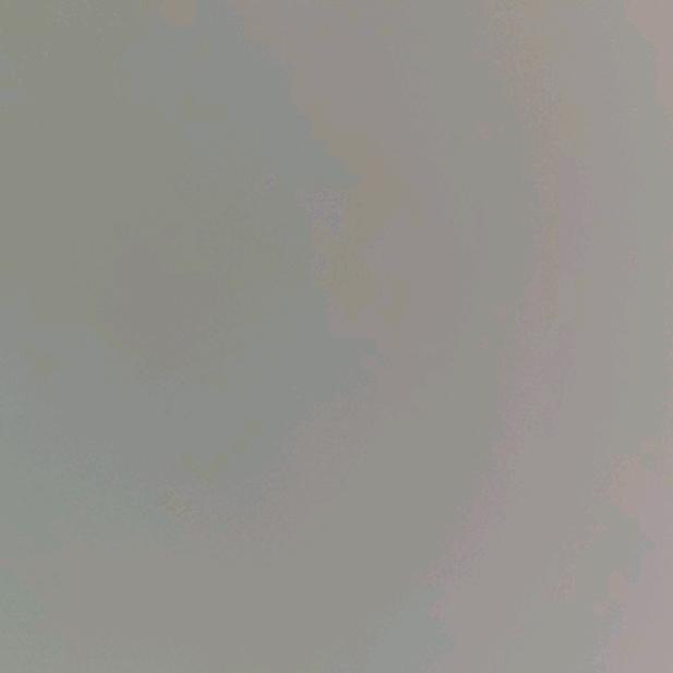 小杜