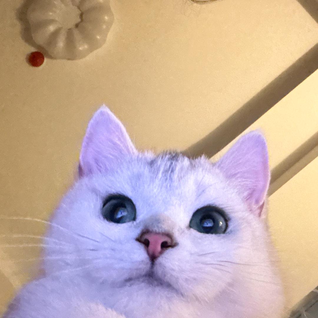 凡