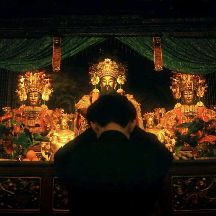 梨花雨（养鹊流）