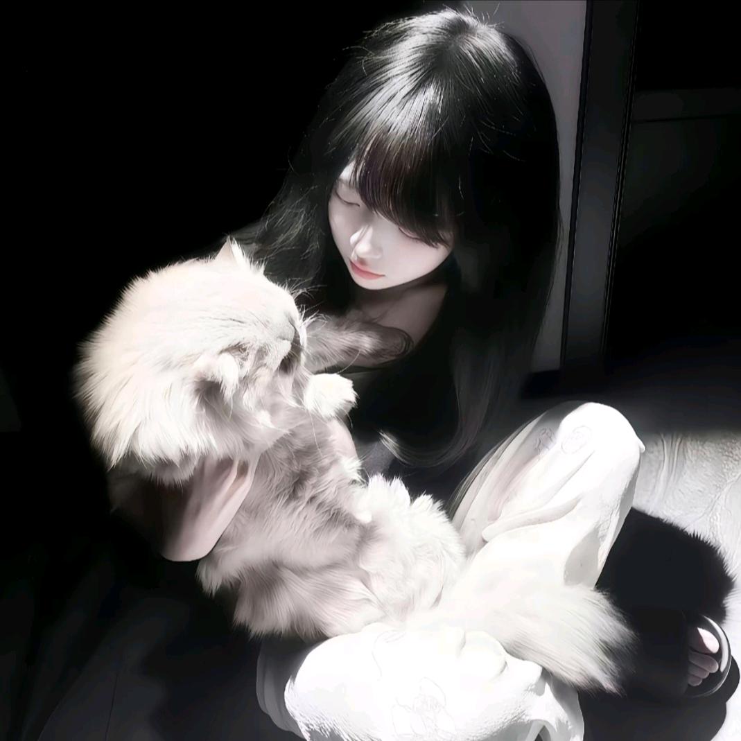 淮安✨