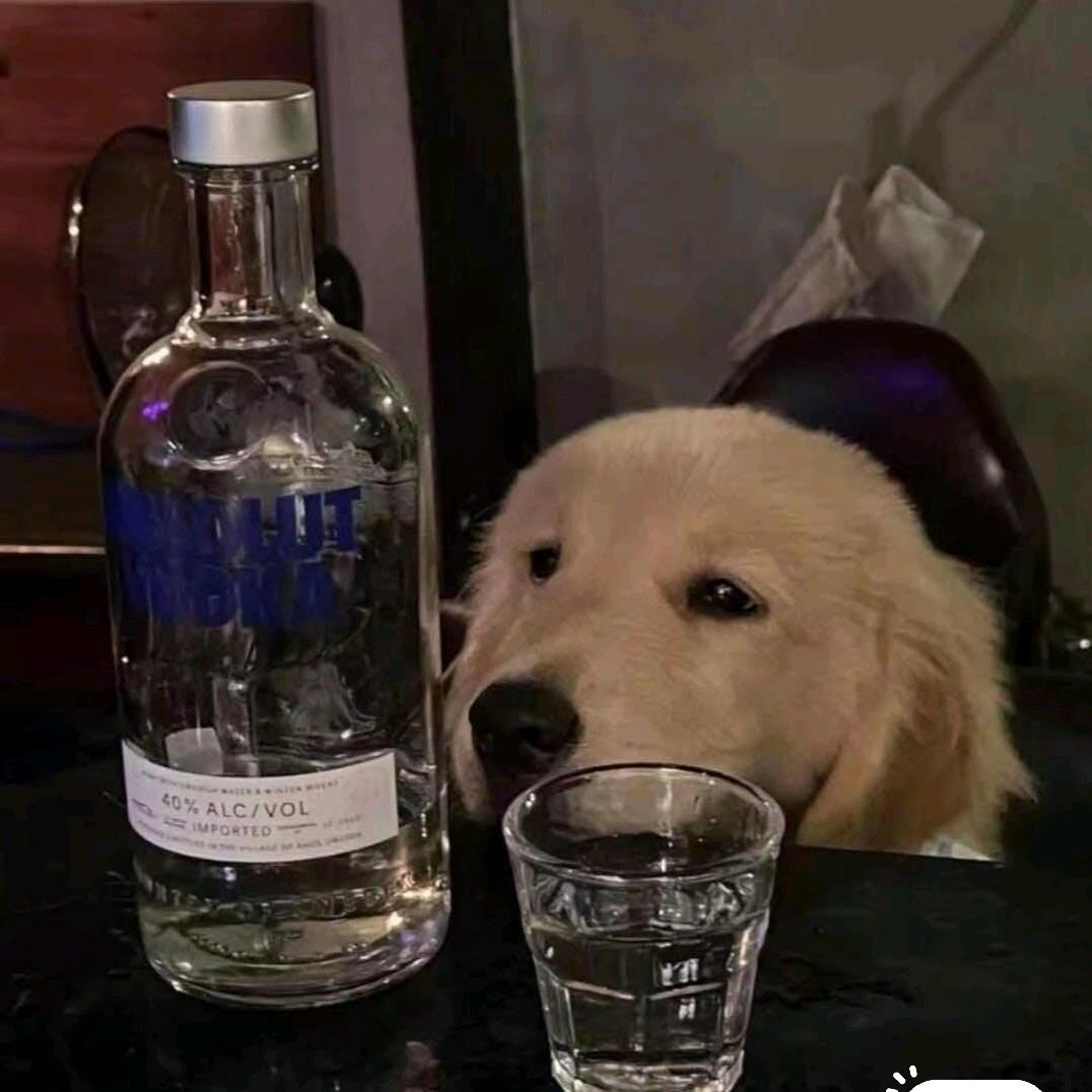 ²º²⁵༼ཽ༉ꫛ普通人