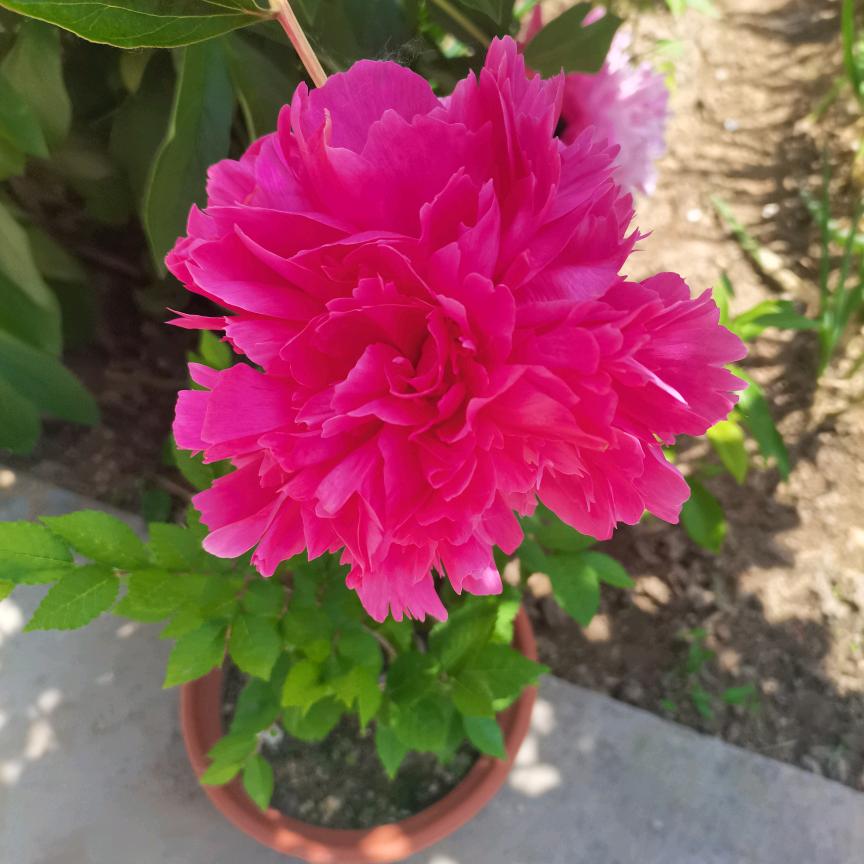 @岁月静好