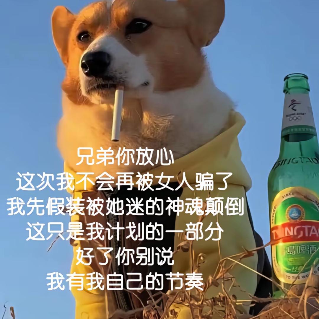 ( っ'-')╮ =͟͟͞͞❤️