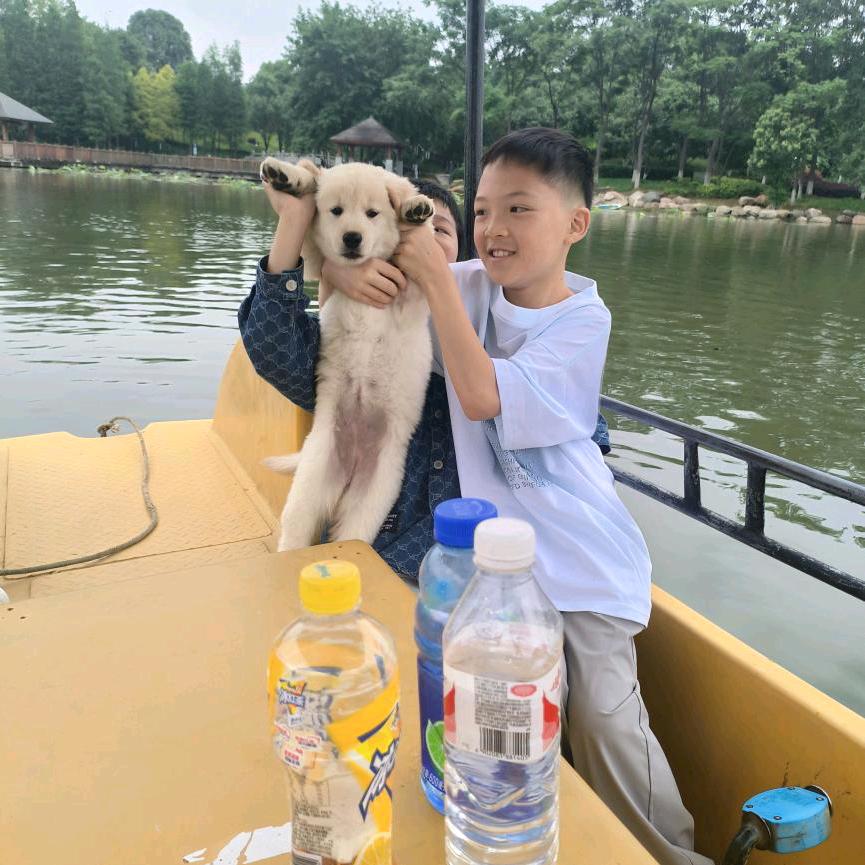 你可爱