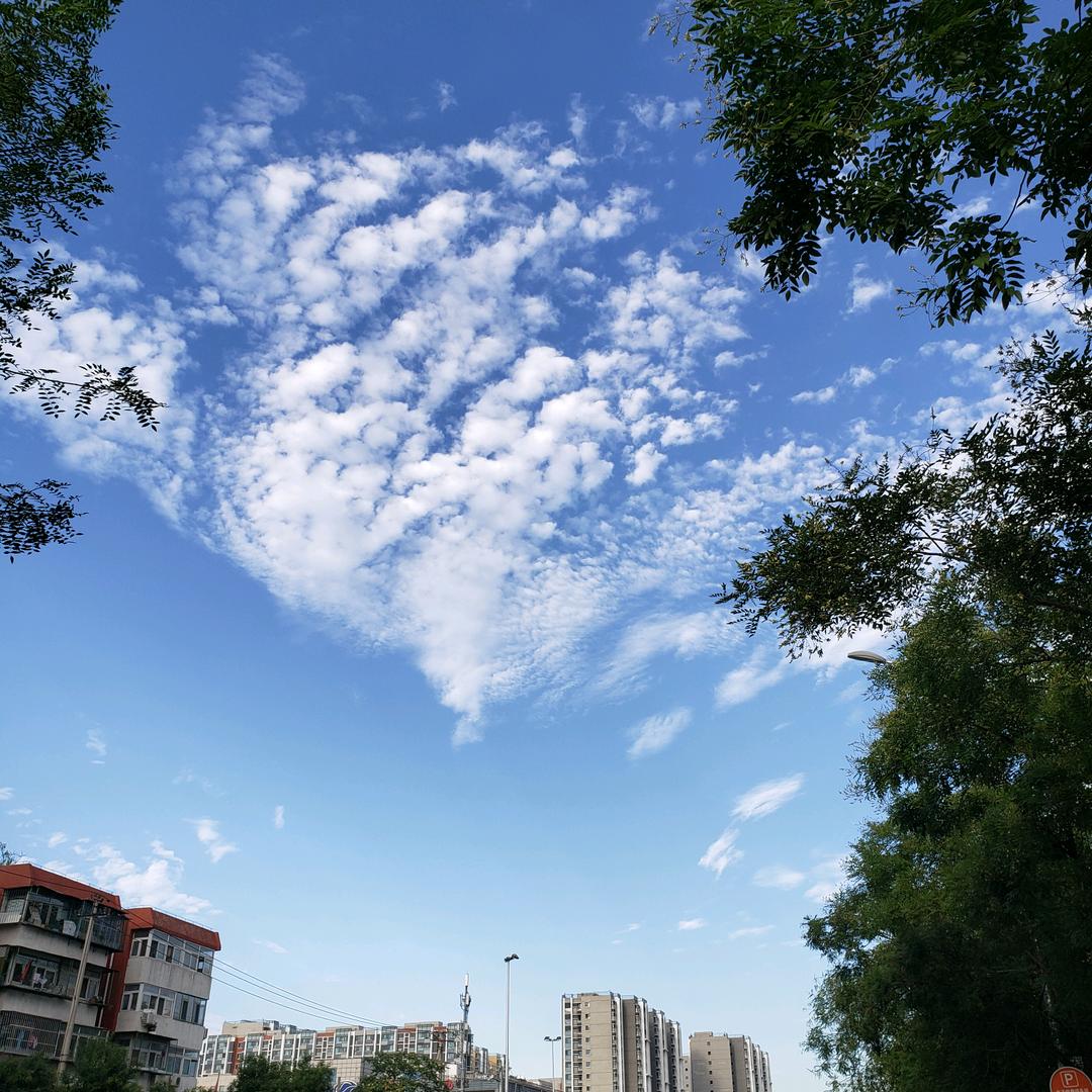 好羡慕风自由飞翔