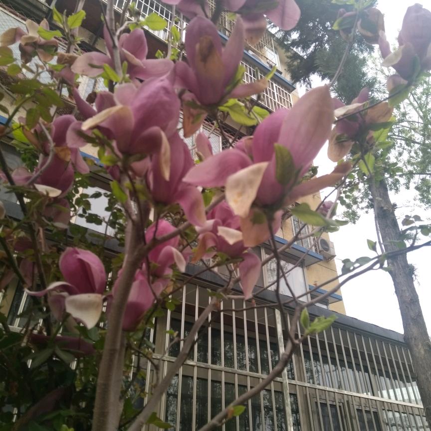 不在打扰