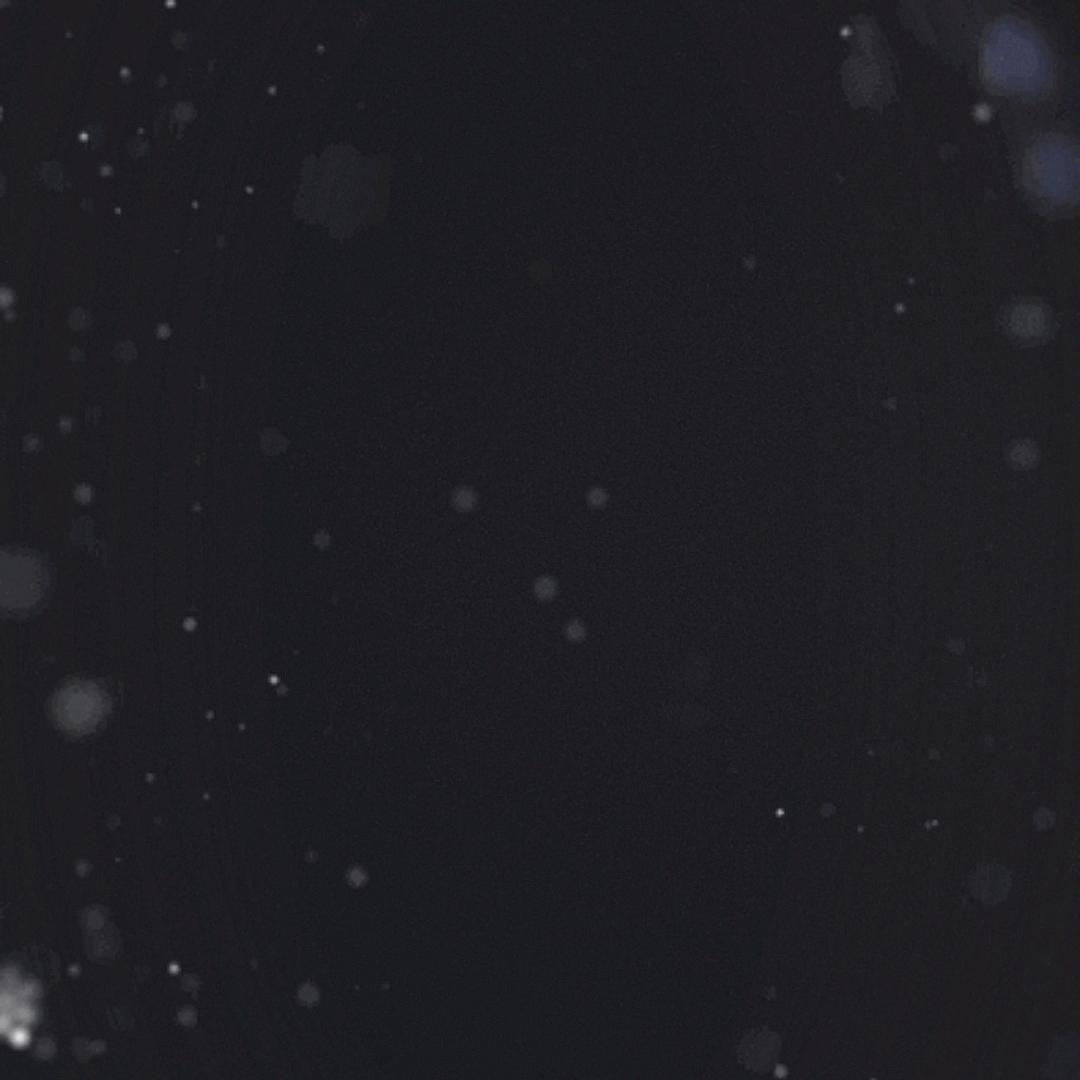 。。。。，，