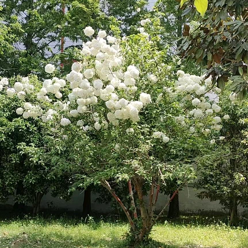 废品小哥