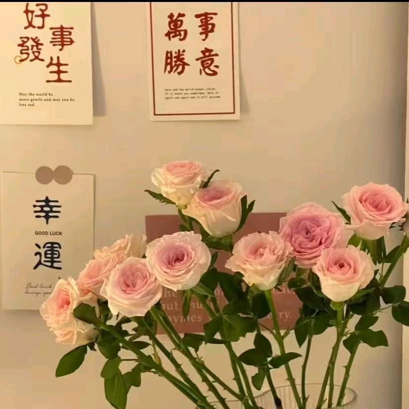 洋洋（桃江爱福达肩颈开背）