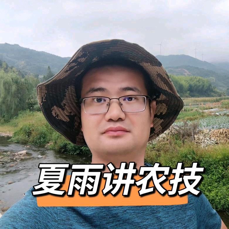 夏雨（金正大）