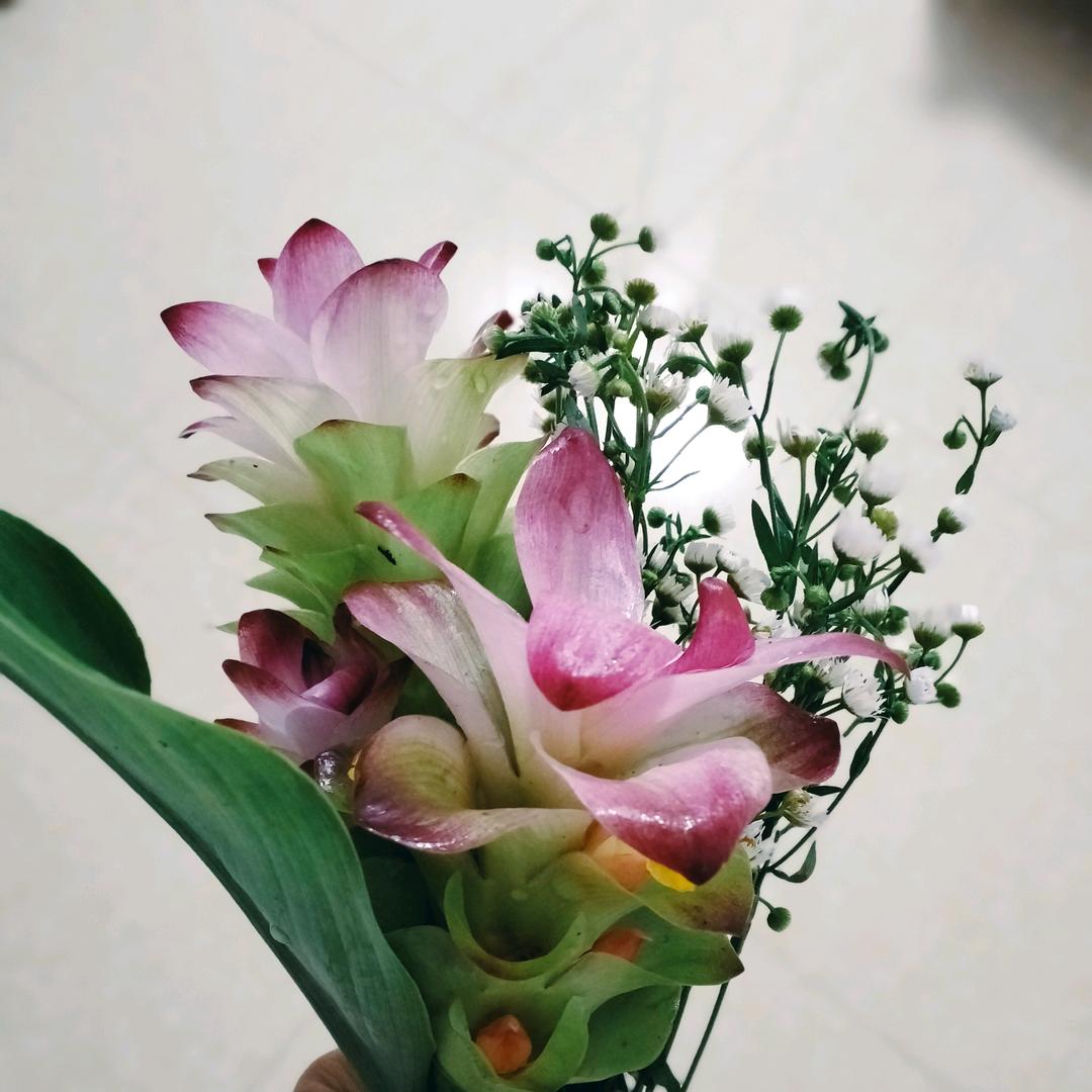 非惠不可