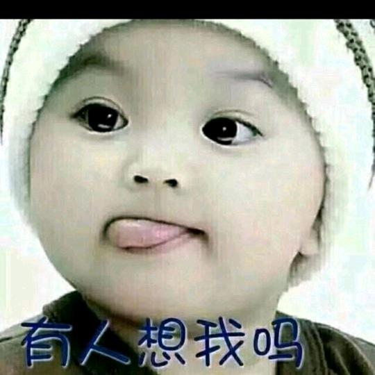 浪迹天涯