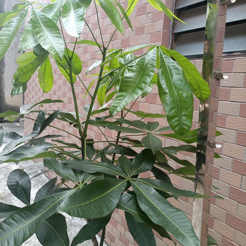 珍惜余生有你