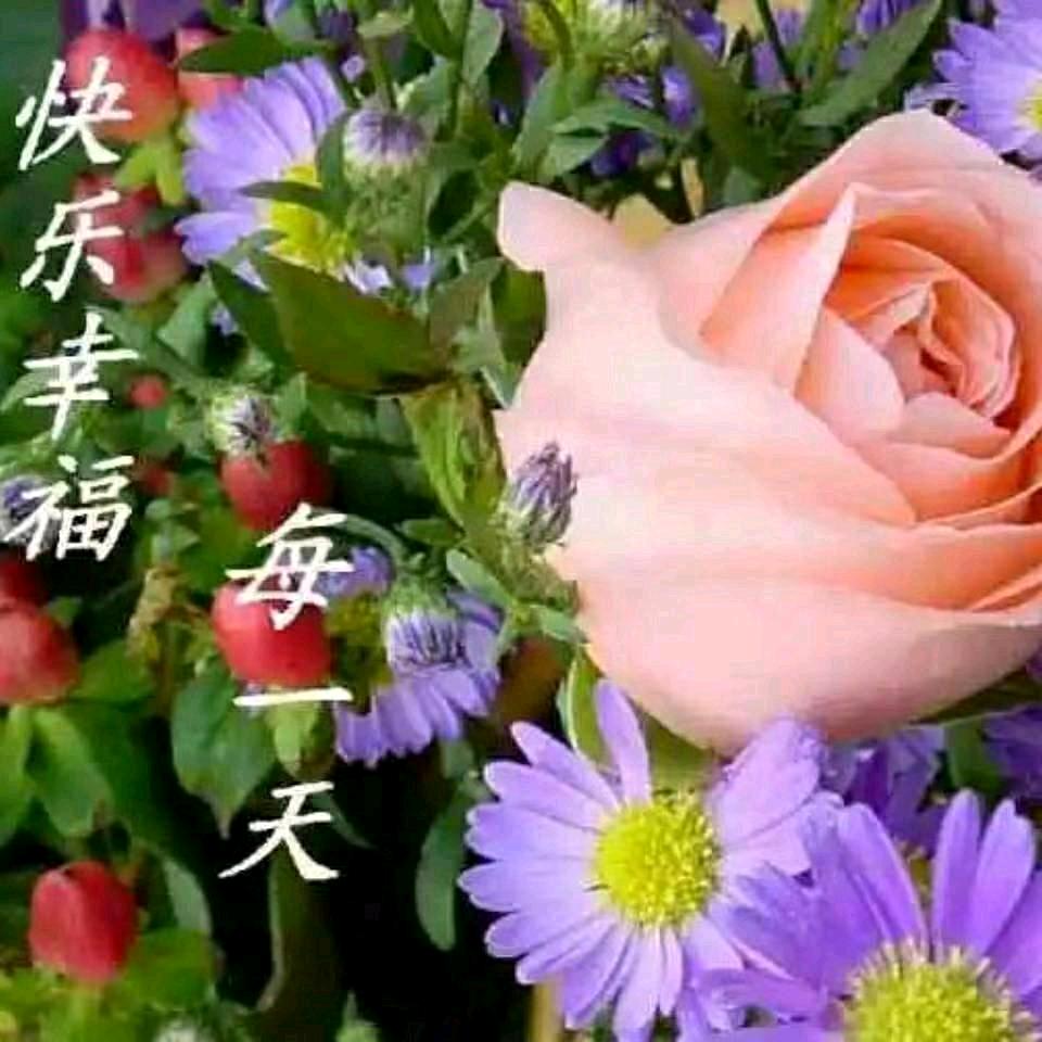 心心相印