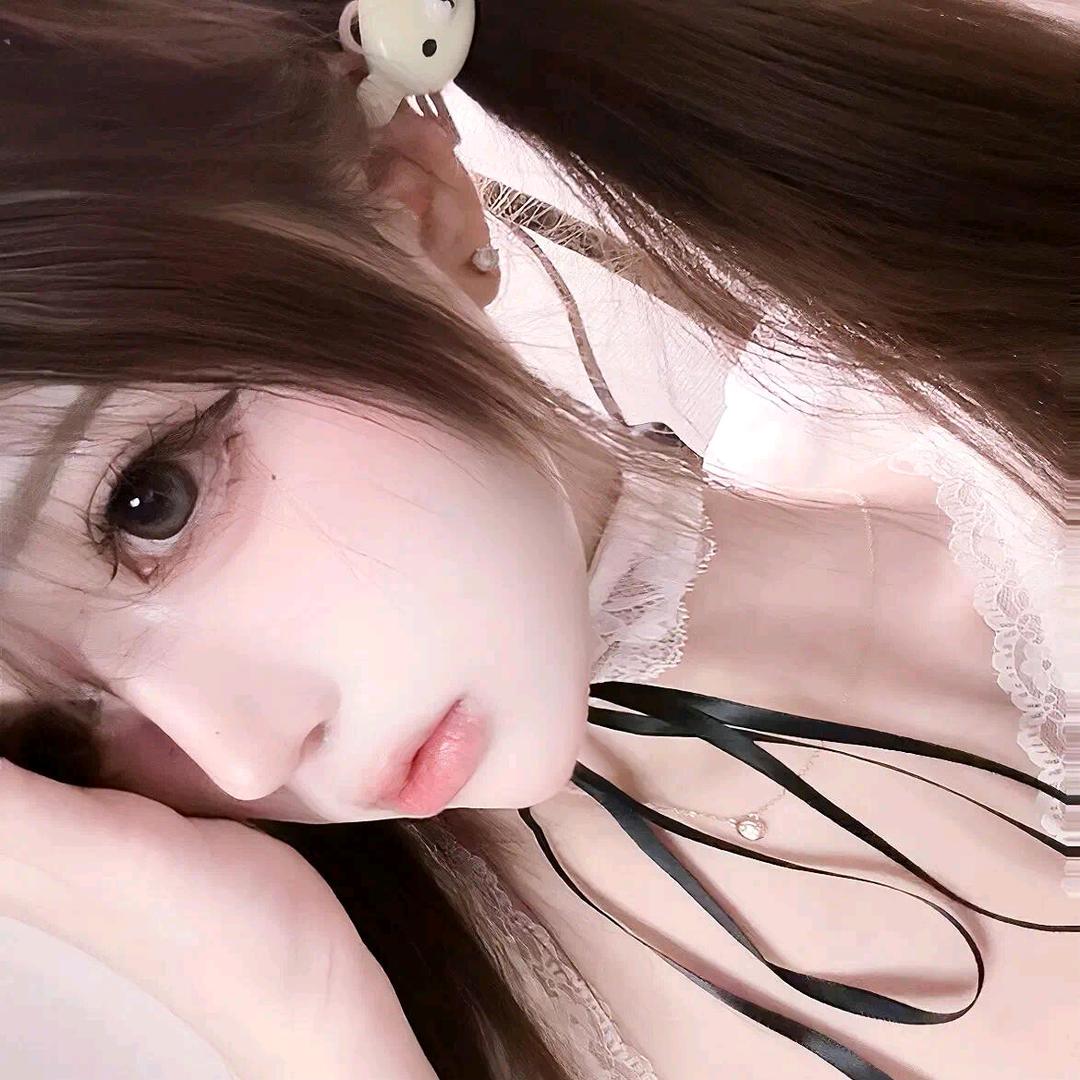 乖猫