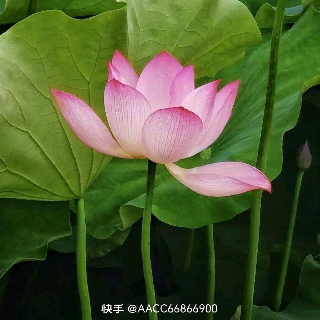 一生难忘。